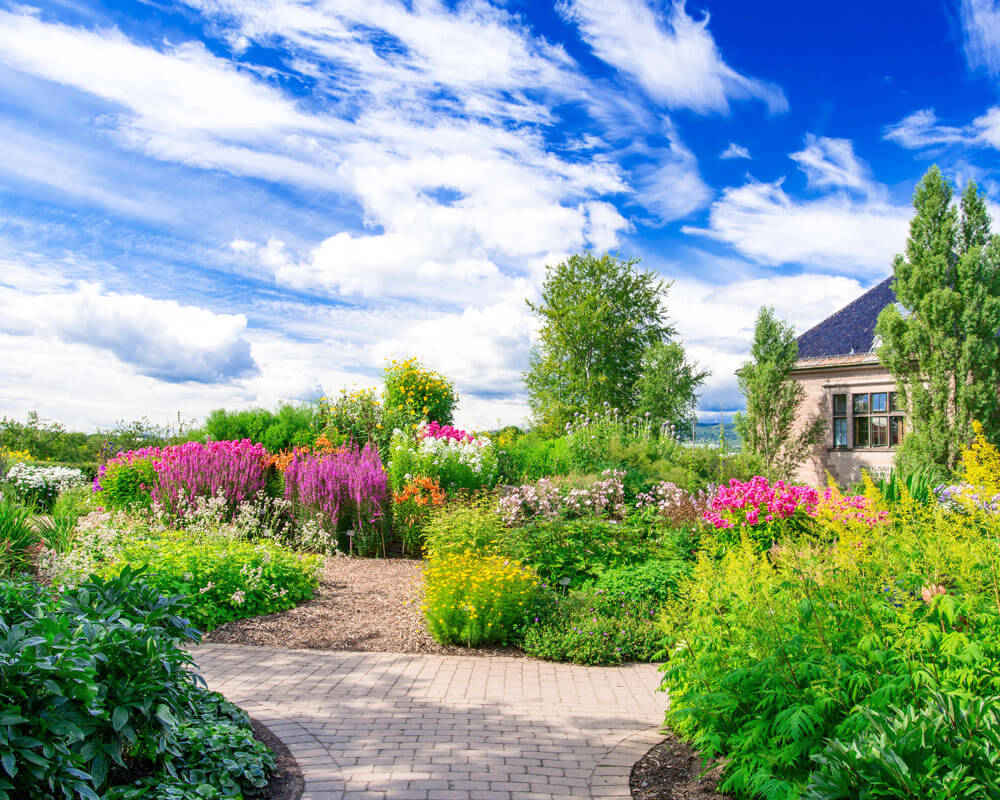 landscaping services